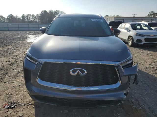 2024 Infiniti QX60 Sensory