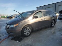 Salvage cars for sale at Wayland, MI auction: 2014 Honda Odyssey EXL