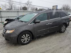 Honda salvage cars for sale: 2015 Honda Odyssey EXL