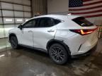 2022 Lexus NX 250