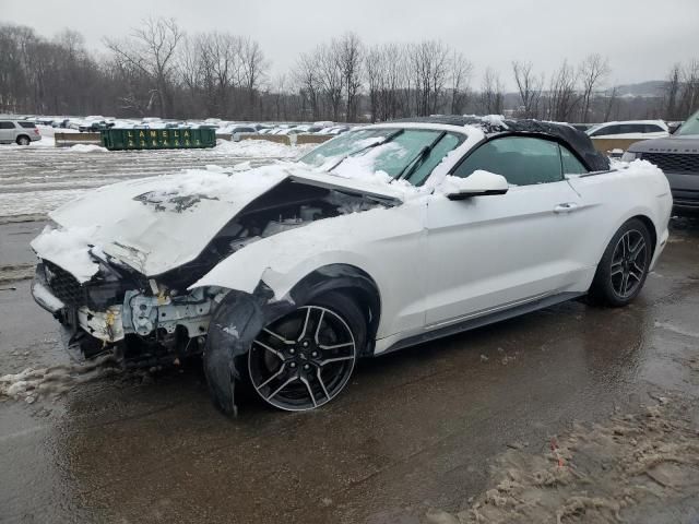 2021 Ford Mustang