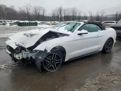 Salvage cars for sale at Marlboro, NY auction: 2021 Ford Mustang