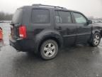 2011 Honda Pilot EXL