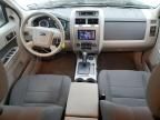 2010 Ford Escape Hybrid