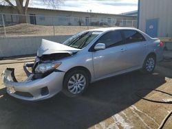 Salvage cars for sale at Albuquerque, NM auction: 2012 Toyota Corolla Base