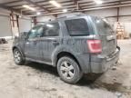 2008 Ford Escape Limited