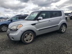 Salvage cars for sale at Eugene, OR auction: 2011 KIA Soul +