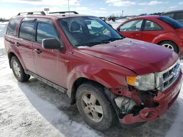 2011 Ford Escape XLT