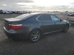 2008 Lexus LS 460