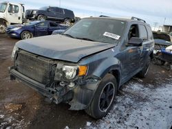 Salvage cars for sale at Brighton, CO auction: 2012 Ford Escape XLT