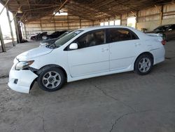 Salvage cars for sale at Phoenix, AZ auction: 2010 Toyota Corolla Base