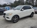 2013 Mercedes-Benz ML 350