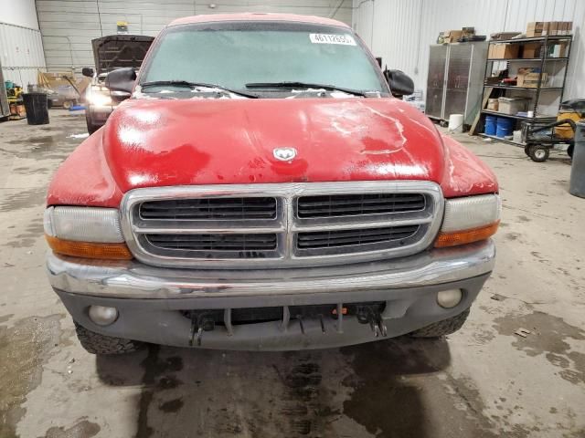 2000 Dodge Dakota Quattro