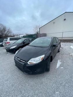 Clean Title Cars for sale at auction: 2013 Ford Focus SE