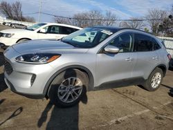 Salvage cars for sale at Moraine, OH auction: 2020 Ford Escape SE