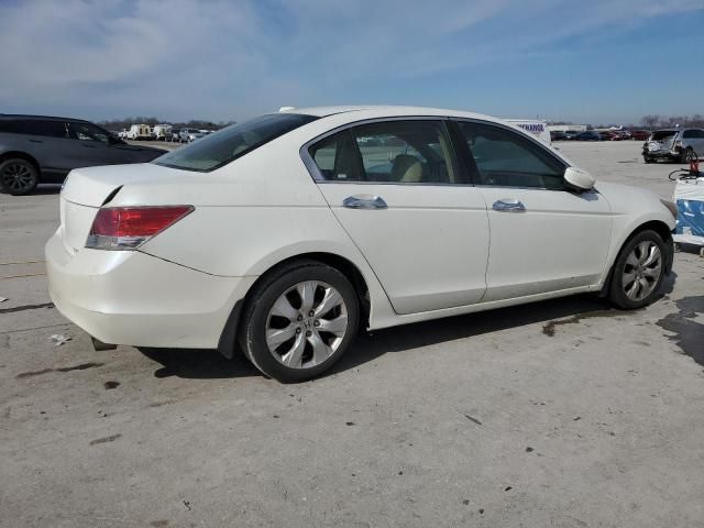 2008 Honda Accord EXL