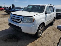 Honda salvage cars for sale: 2010 Honda Pilot EXL