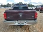 2005 Dodge Dakota Quad SLT