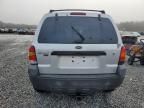 2007 Ford Escape XLT