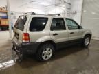 2005 Ford Escape XLT