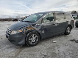 Salvage cars for sale from Copart Wayland, MI: 2013 Honda Odyssey EXL