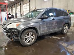 Salvage cars for sale at Blaine, MN auction: 2010 Honda CR-V EX