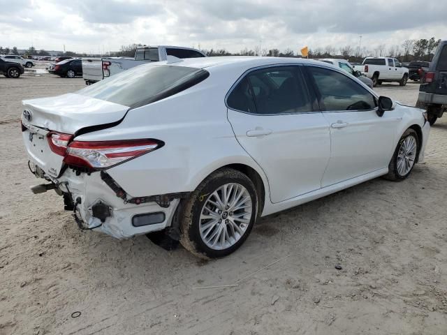 2019 Toyota Camry Hybrid