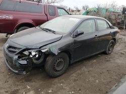 Salvage cars for sale at auction: 2011 Toyota Corolla Base