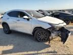 2024 Lexus NX 350H Base