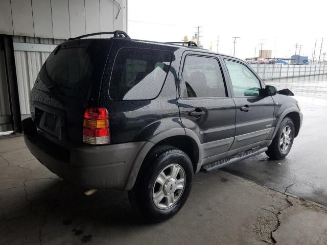 2002 Ford Escape XLT