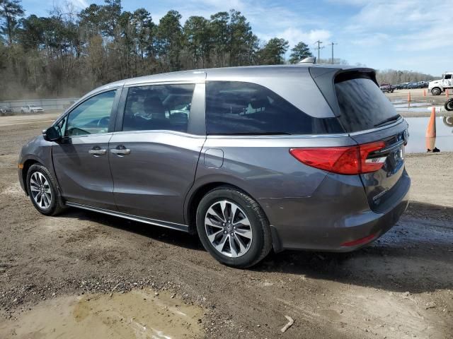 2022 Honda Odyssey EXL