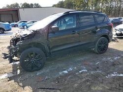 Salvage cars for sale at Seaford, DE auction: 2019 Ford Escape SE