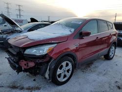 2015 Ford Escape SE en venta en Elgin, IL