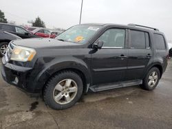 Salvage cars for sale at auction: 2011 Honda Pilot Exln