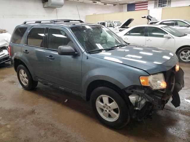 2010 Ford Escape XLT