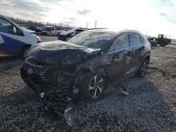 Salvage cars for sale at Memphis, TN auction: 2020 Lexus NX 300