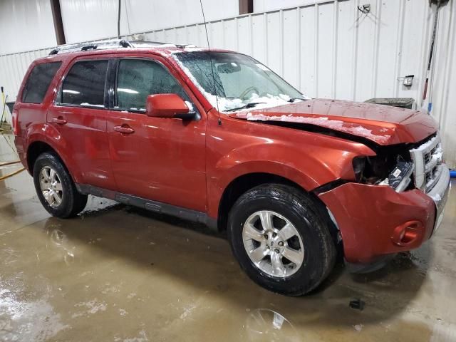 2012 Ford Escape Limited