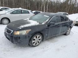 Honda Accord salvage cars for sale: 2010 Honda Accord EXL