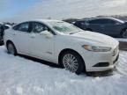 2014 Ford Fusion SE Hybrid