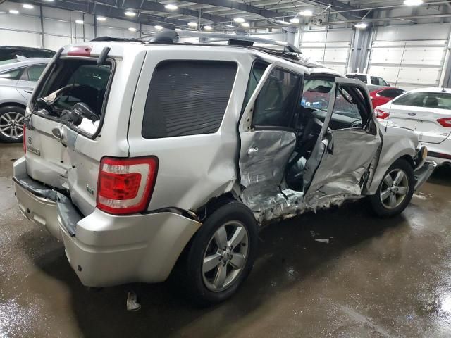 2010 Ford Escape Limited