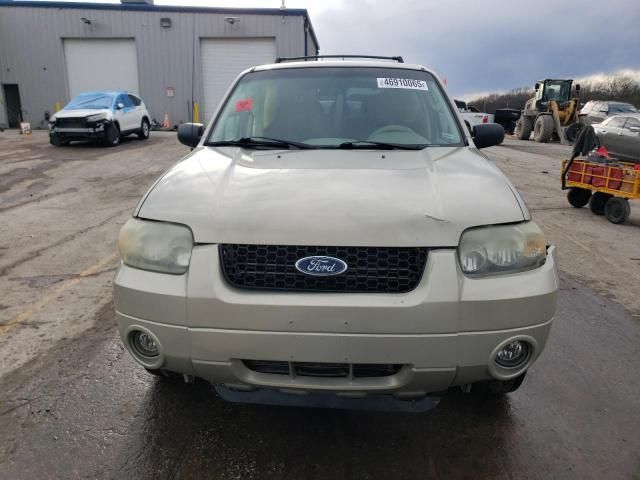 2005 Ford Escape Limited