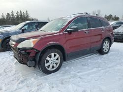 Honda salvage cars for sale: 2007 Honda CR-V EX