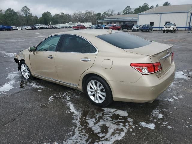 2010 Lexus ES 350