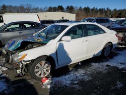 Toyota Camry ce salvage cars for sale: 2008 Toyota Camry CE