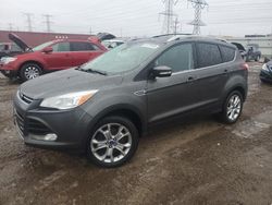 Salvage cars for sale at Elgin, IL auction: 2015 Ford Escape Titanium