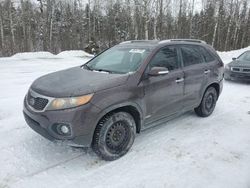 Salvage cars for sale at Cookstown, ON auction: 2012 KIA Sorento Base