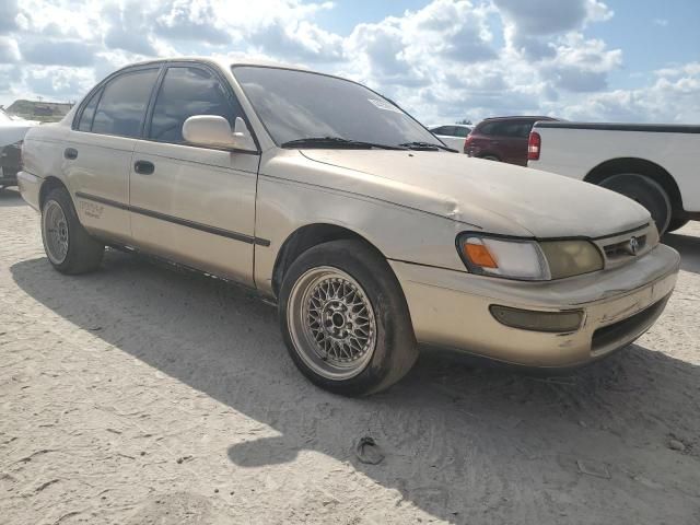 1996 Toyota Corolla DX