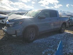 Salvage cars for sale at Magna, UT auction: 2023 Honda Ridgeline RTL