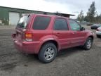 2005 Ford Escape Limited