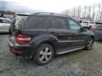 2009 Mercedes-Benz ML 350